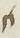 Letter - #12335