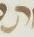Letter - #12361