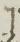 Letter - #12411