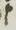Letter - #12413
