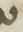 Letter - #12698