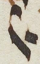 Ligature - #12716