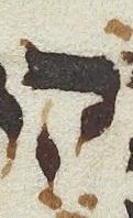 Letter - #12738