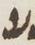 Letter - #12752