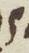 Letter - #12755