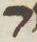 Letter - #12763