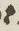 Letter - #12817