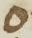 Letter - #12827
