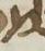 Letter - #12829
