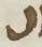 Letter - #12839