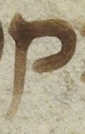 Letter - #12897