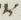 Letter - #13034