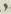 Letter - #13038