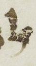 Ligature - #13082