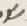 Letter - #13098