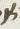 Letter - #13106