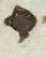 Letter - #13133