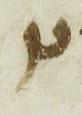 Ligature - #13162