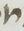 Letter - #13246
