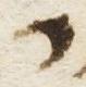Letter - #13409
