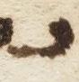 Letter - #13416
