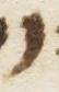 Letter - #13430