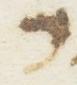 Letter - #13496