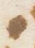 Letter - #13571