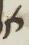 Letter - #13640