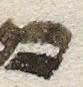 Letter - #13797