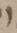 Letter - #13854