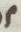 Letter - #13883