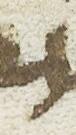 Letter - #13924