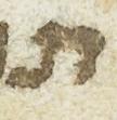 Letter - #13927