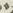 Letter - #13972