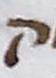 Letter - #13991