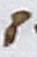 Letter - #13995