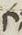Letter - #14041