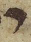 Letter - #14136