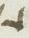 Letter - #14216