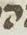 Letter - #14290