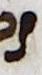 Letter - #14300