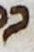 Letter - #14310