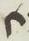 Letter - #14347