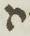 Letter - #14368
