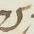 Letter - #14376