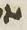 Letter - #14464