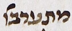 Abbreviation - #14496