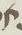 Letter - #14652