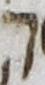 Letter - #14703